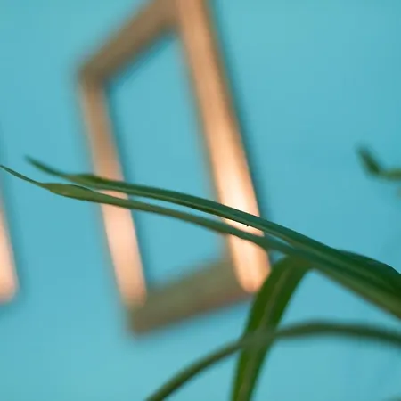 Casa Vegezio Near Vatican Museum And Metro Cipro Private Garden Check-in From 3 Pm To 10 Pm